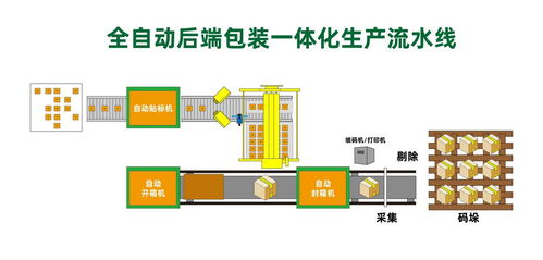 產品的賦碼到追溯系統的搭建流程是怎么樣的